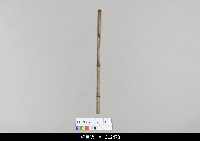 藏品(中國湖北皮影戲相關物件-操縱桿)的圖片